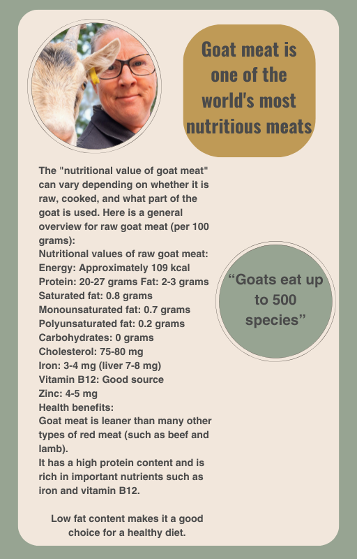 E book Goatmeat around the world- English version