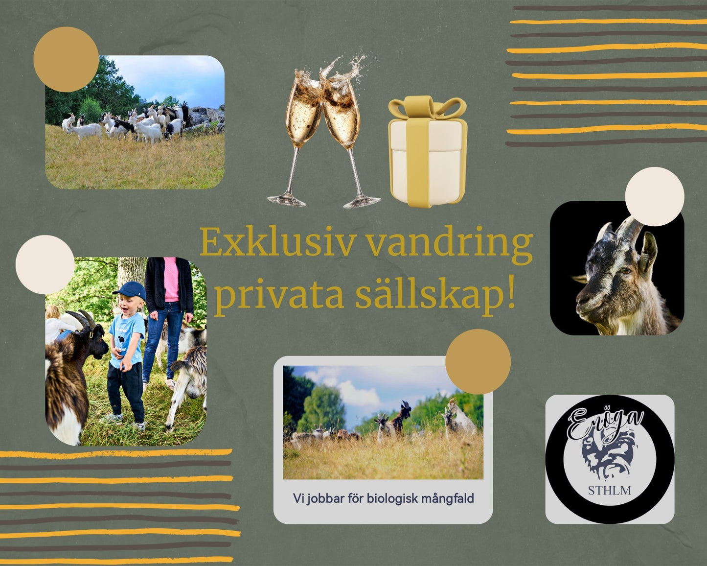 B Exklusiv gruppvandring-Privata sällskap