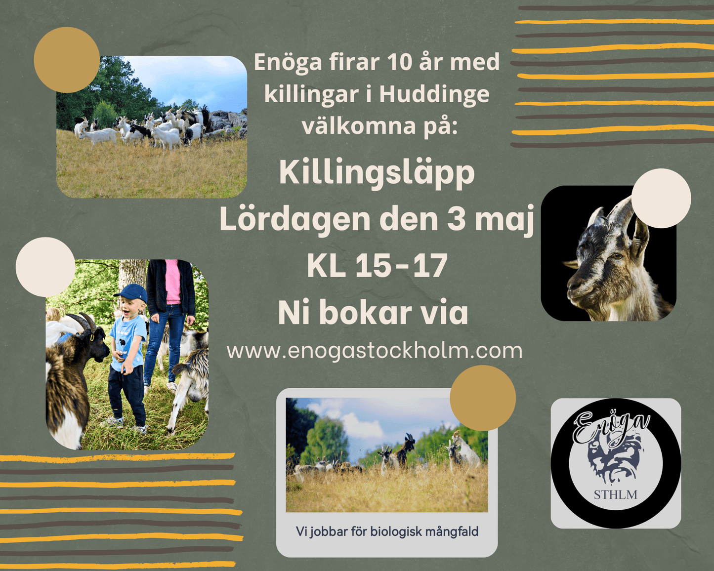 Killingsläpp den 3 maj - Barn - Enöga Stockholm