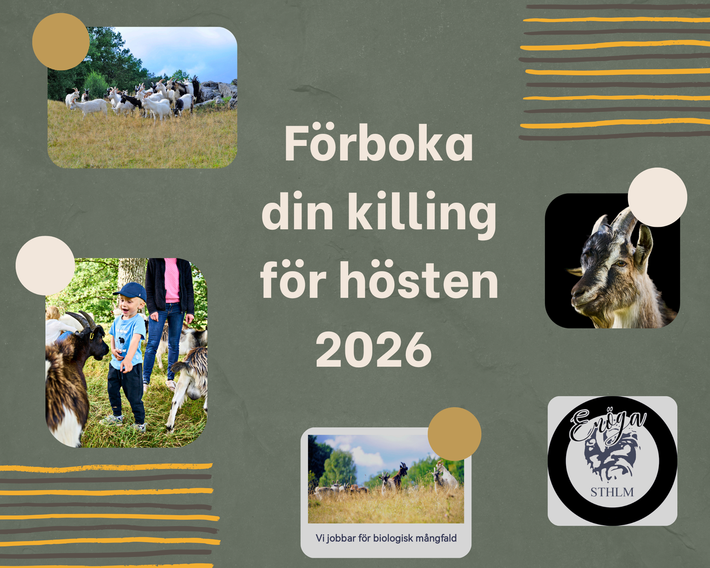Boka din Killing Förskott