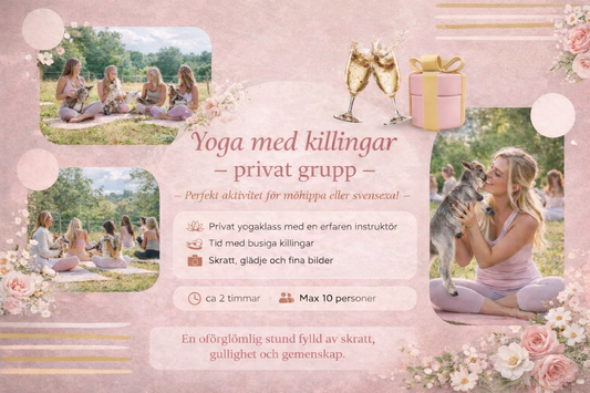 A Yoga med killingar privat grupp