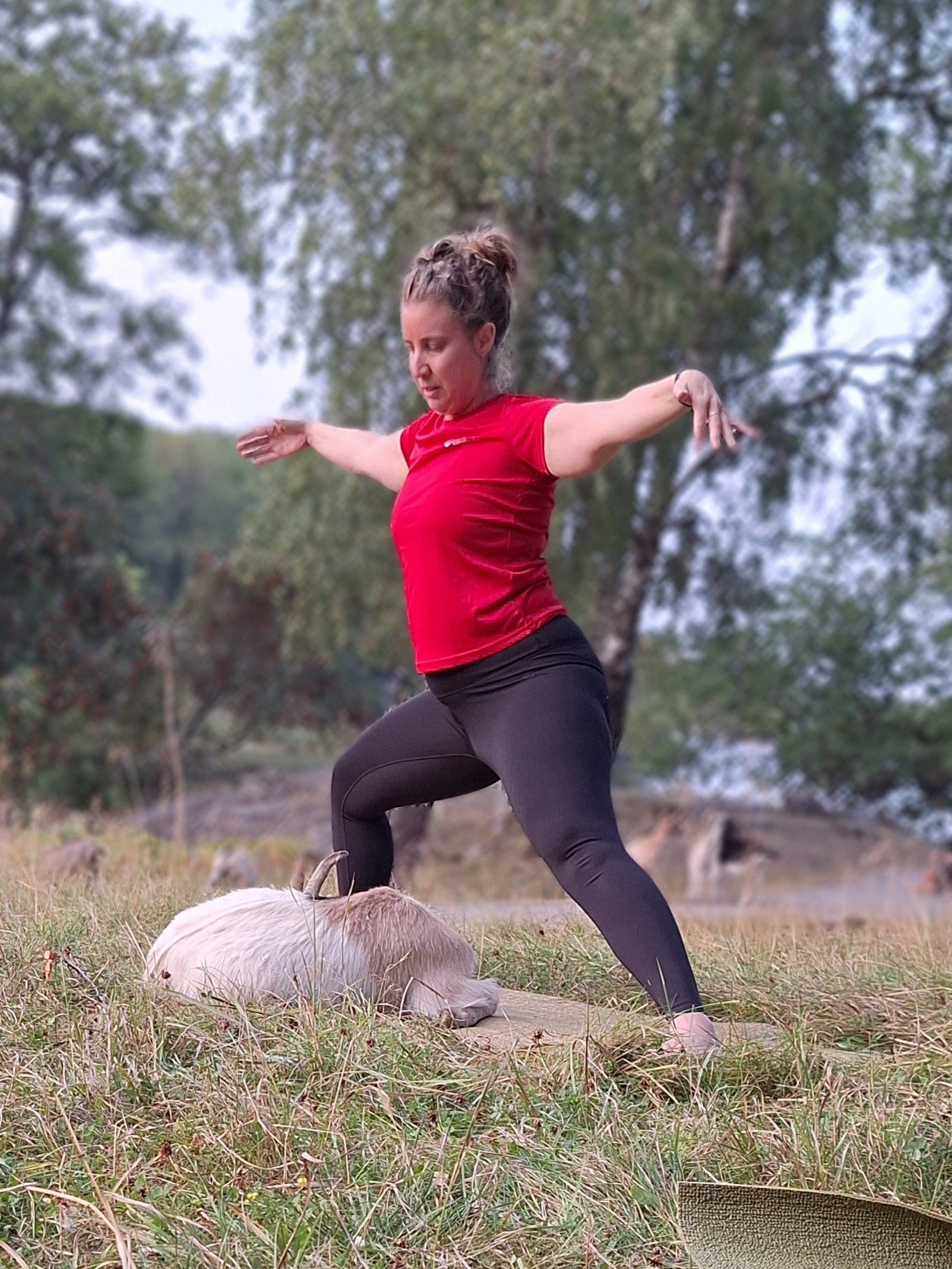 Presentkort Yoga med killingar - Enöga Stockholm